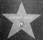 Hollywood Star